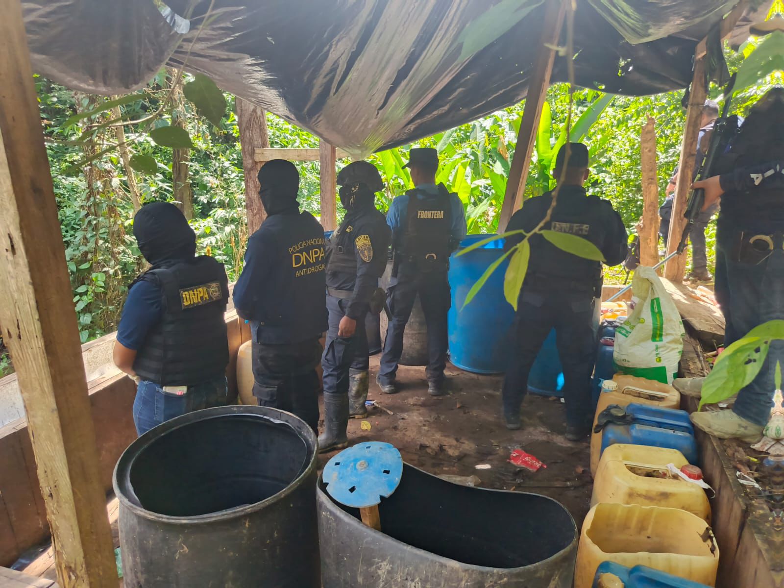 DNPA localiza plantación de 48 mil arbustos de supuesta hoja de coca y un laboratorio rústico en San Esteban, Olancho