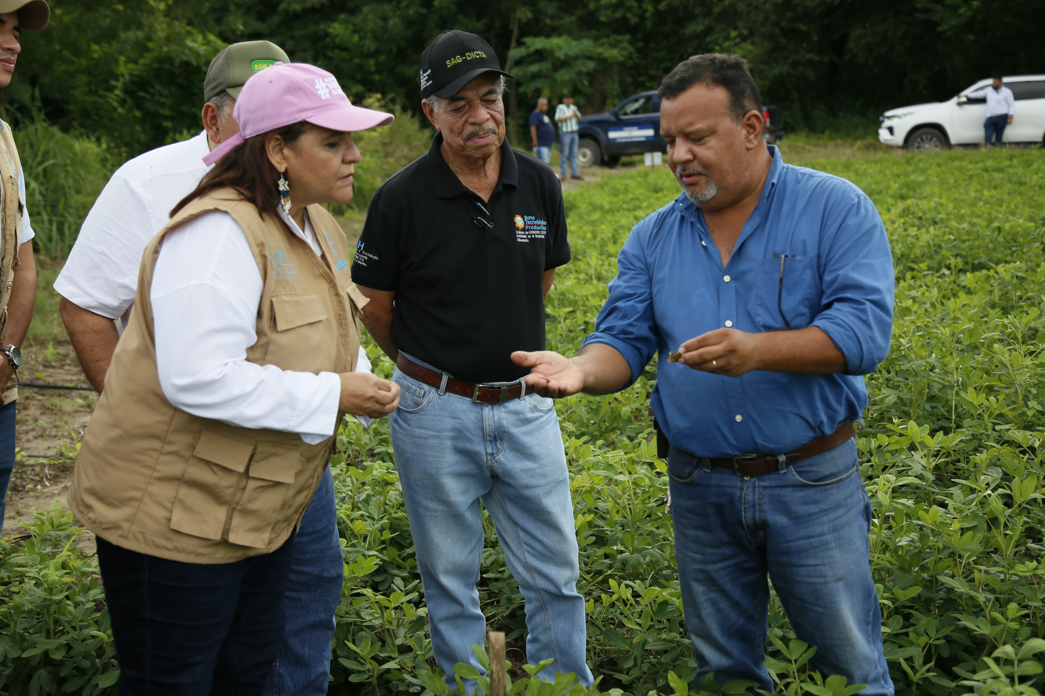 A través del Bono Tecnológico Productivo: SAG promueve la distribución de semilla de arroz para i...