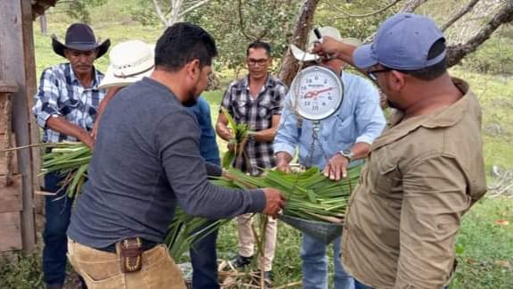 Gobierno contribuye al Desarrollo Económico Social en el agro con la asistencia técnica de INA-SAG- PNEA