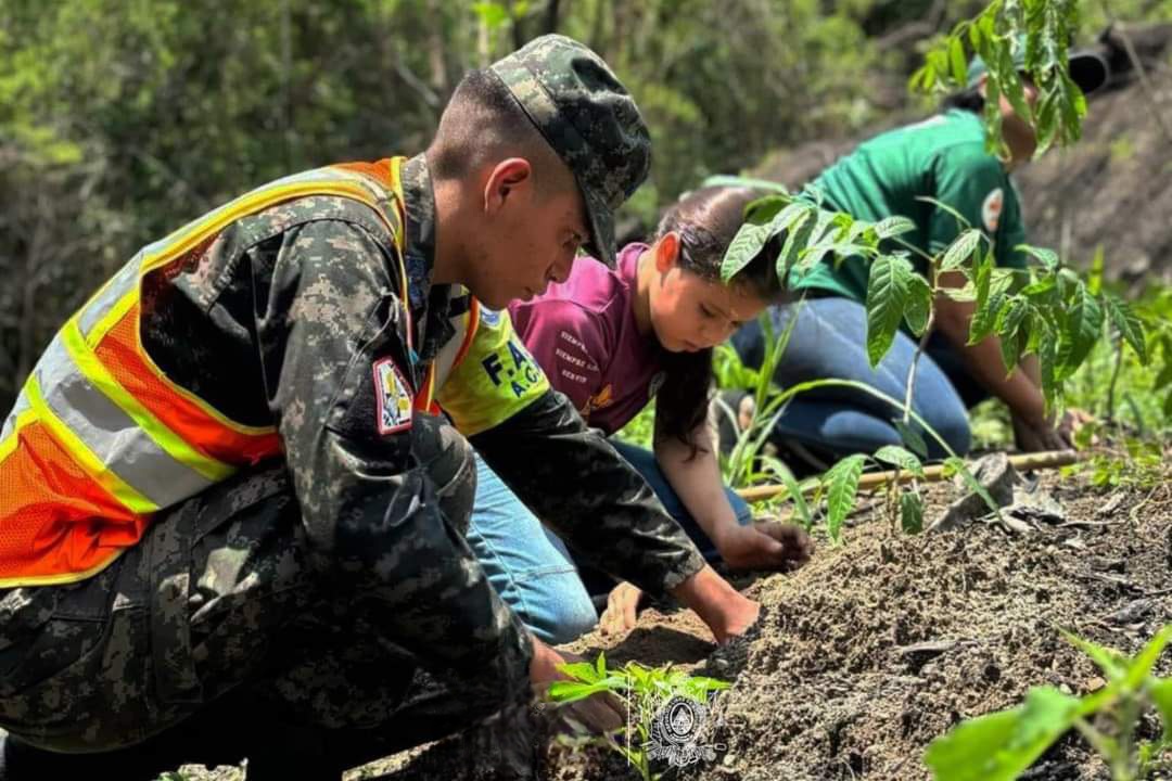 Avanza el plan de la Presidenta Xiomara Castro, Cero Deforestación al 2029