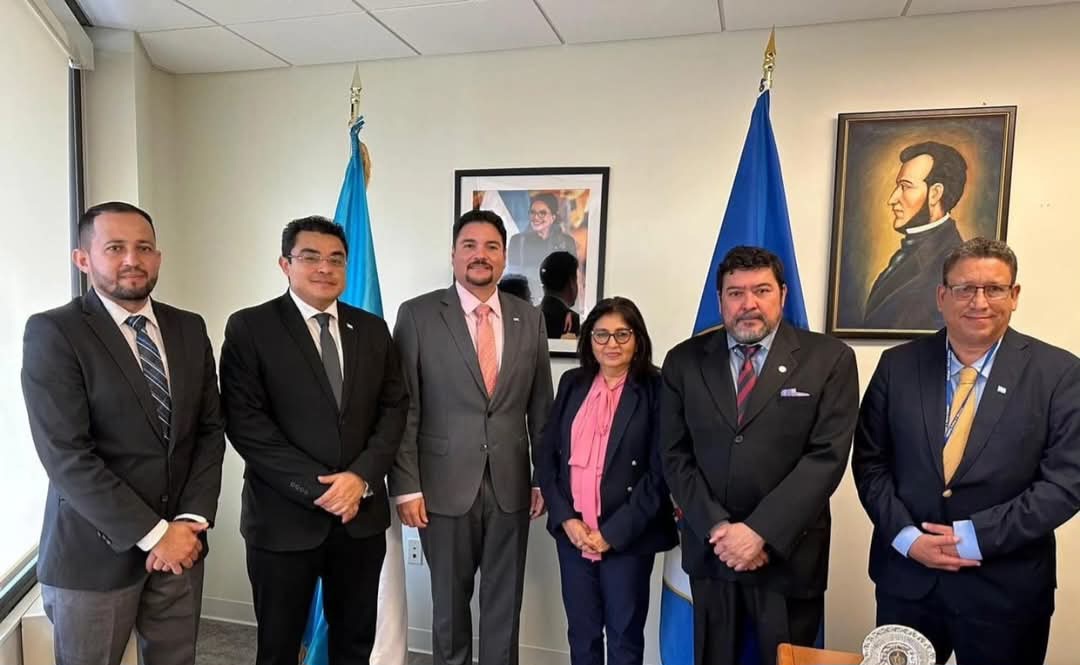 En presentación del Gobierno, vicecanciller Gerardo Torres impulsa en la OEA candidatura hondureña a la CIDH