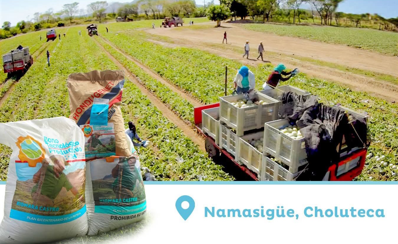 Más de 1,400 productores de Namasigüe y Choluteca reciben el Bono Tecnológico Productivo