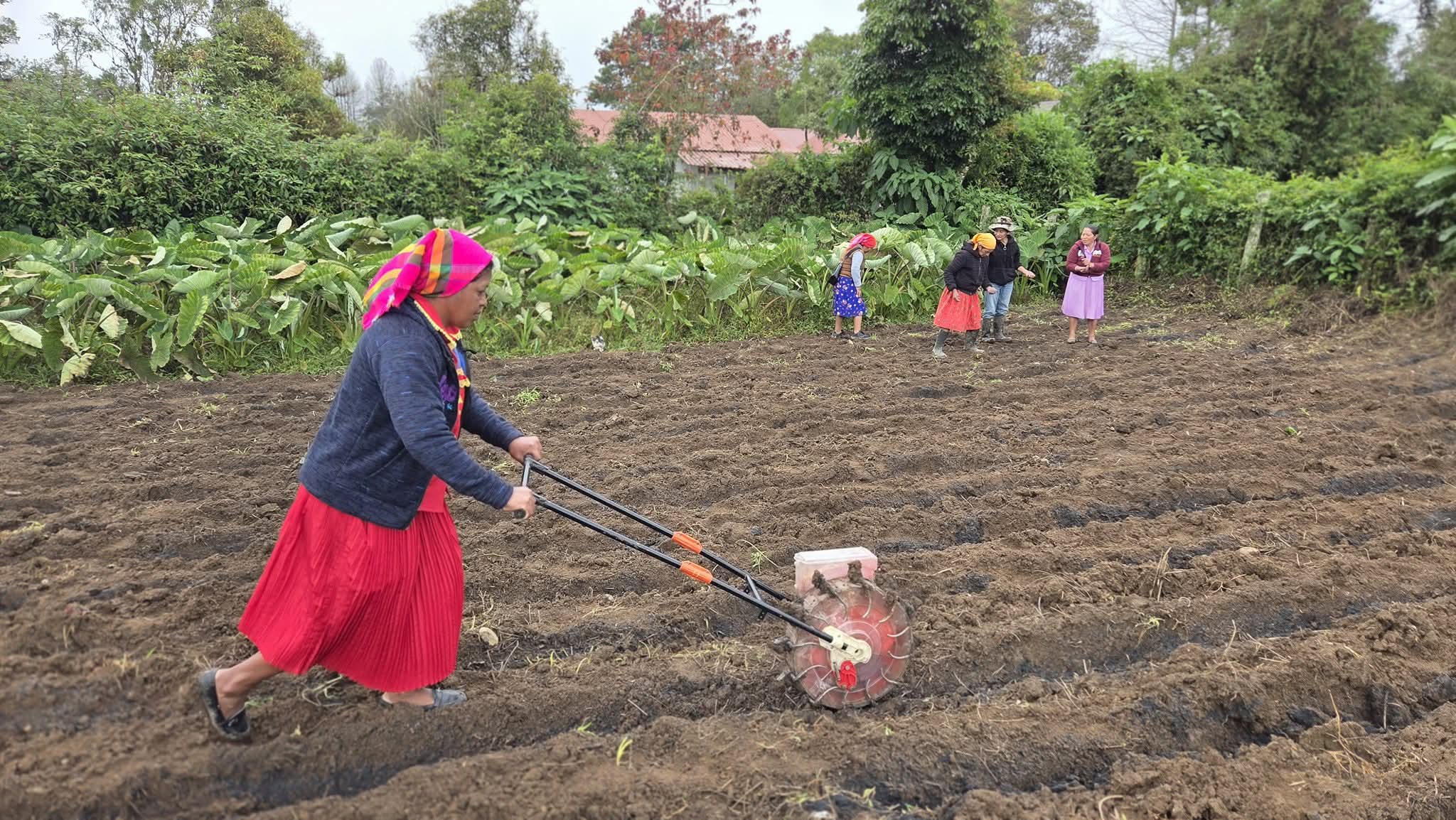 Productoras de Intibucá diversifican y fortalecen su agricultura con innovación agrícola...