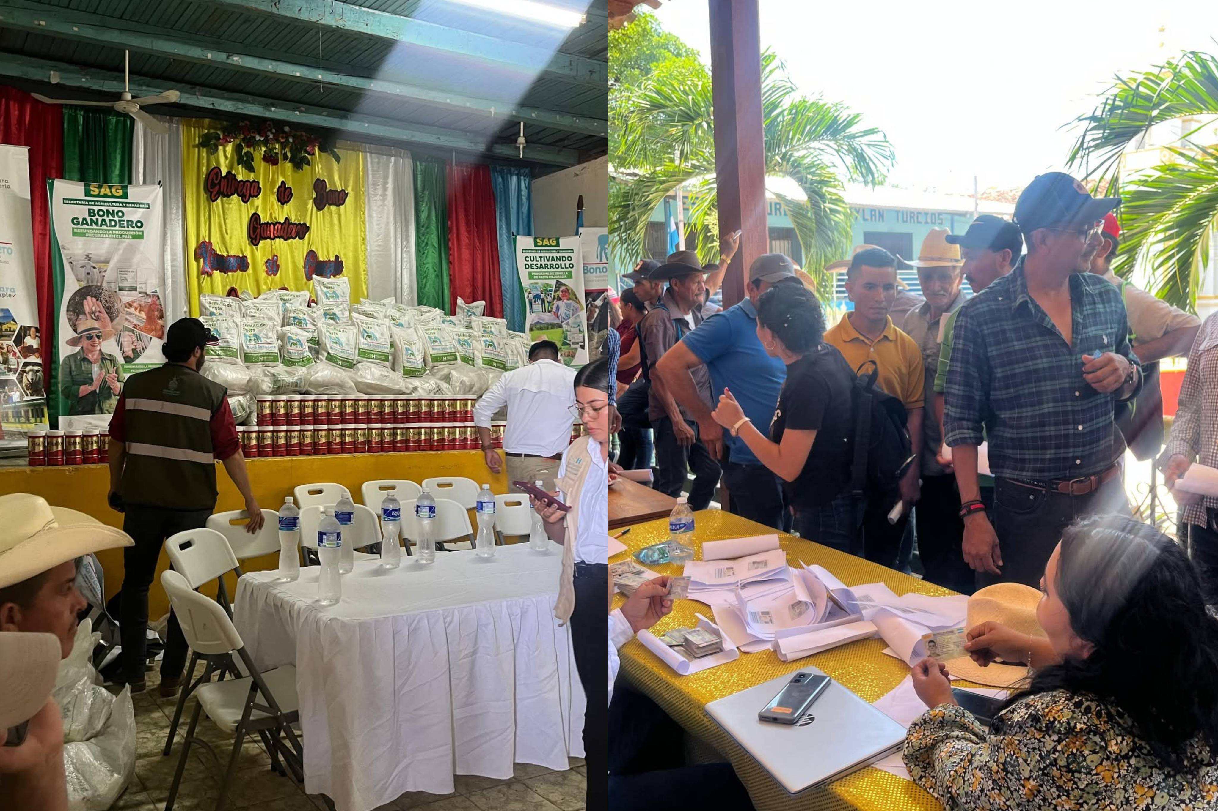 A través del Bono Ganadero, SAG fortalece producción porcina y bovina en El Paraíso