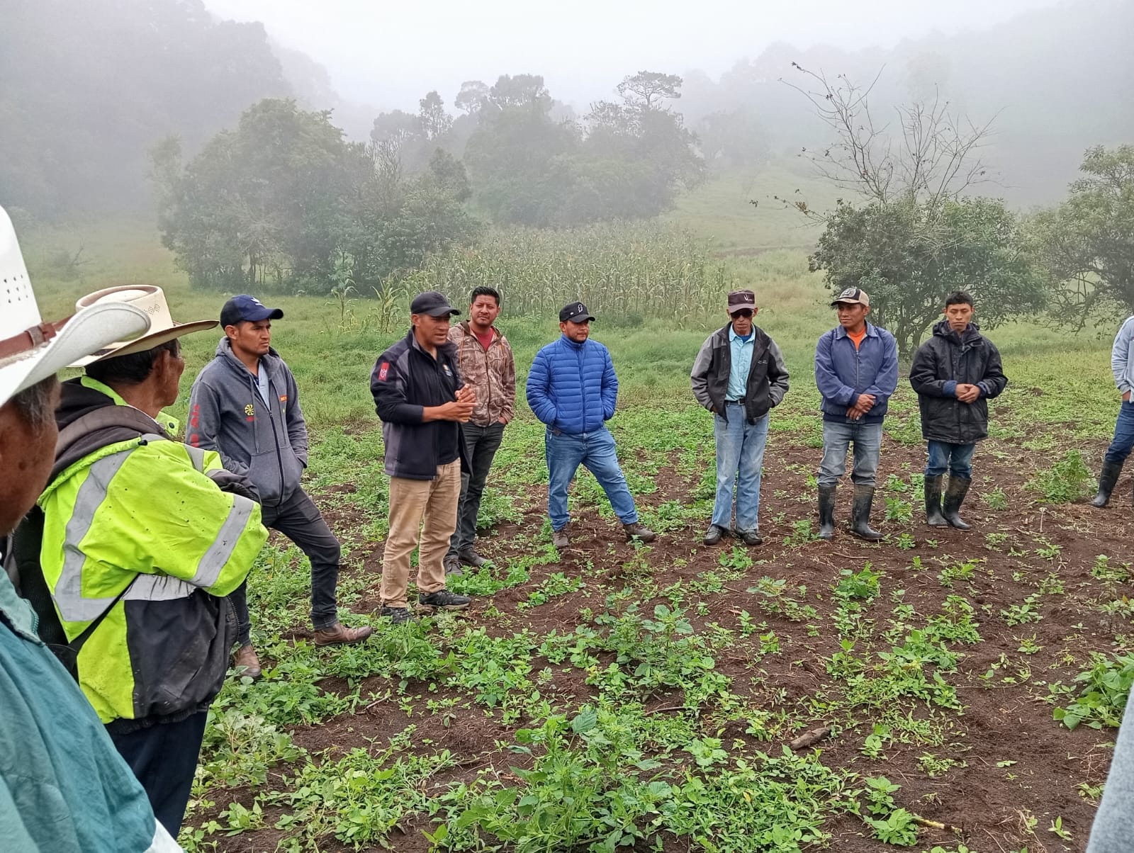 SAG-DICTA impulsa las Escuelas de Campo para transferir tecnologías agrícolas a productores*

 ...