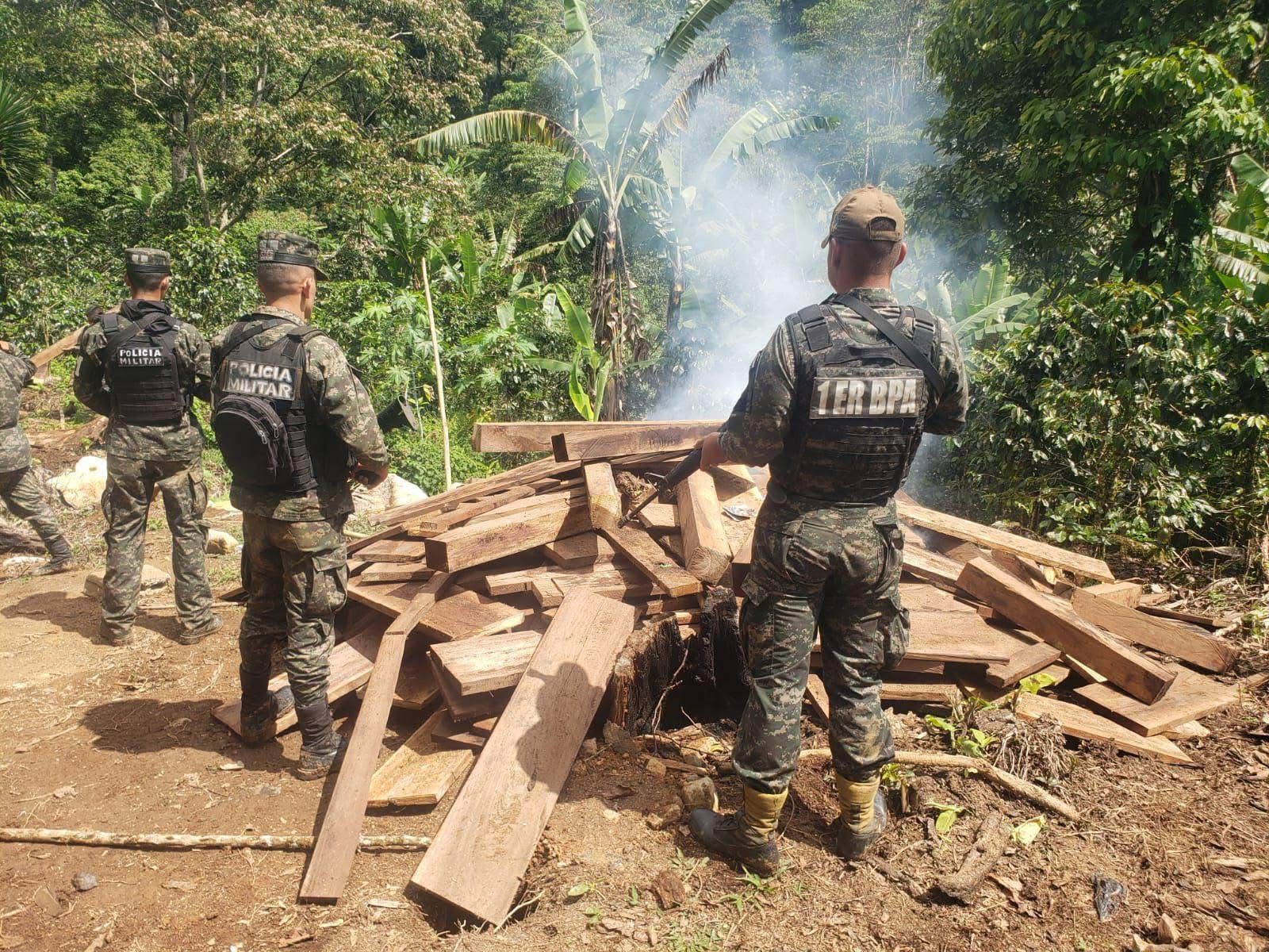 ICF con respaldo de la PMOP decomisa madera ilegal en operativo en la Sierra de...