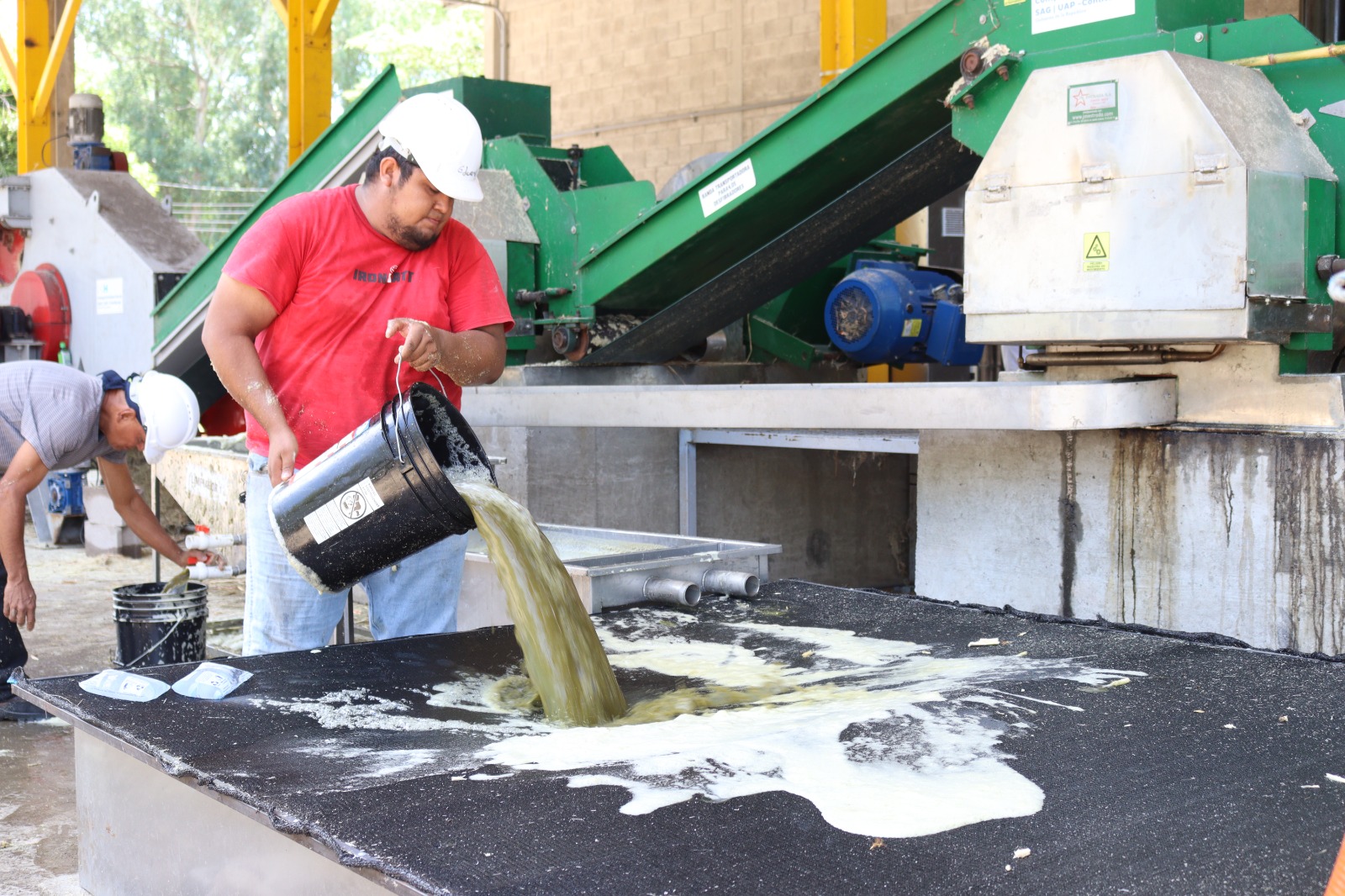 Productores del sur industrializan la caña y generan 1,000 empleos con respaldo...