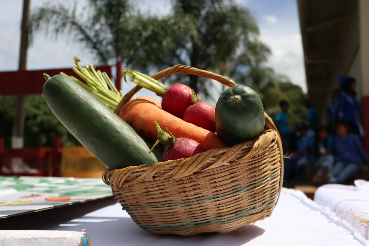 Honduras reduce en 12% la vulnerabilidad en seguridad alimentaria entre 2022 y 2025