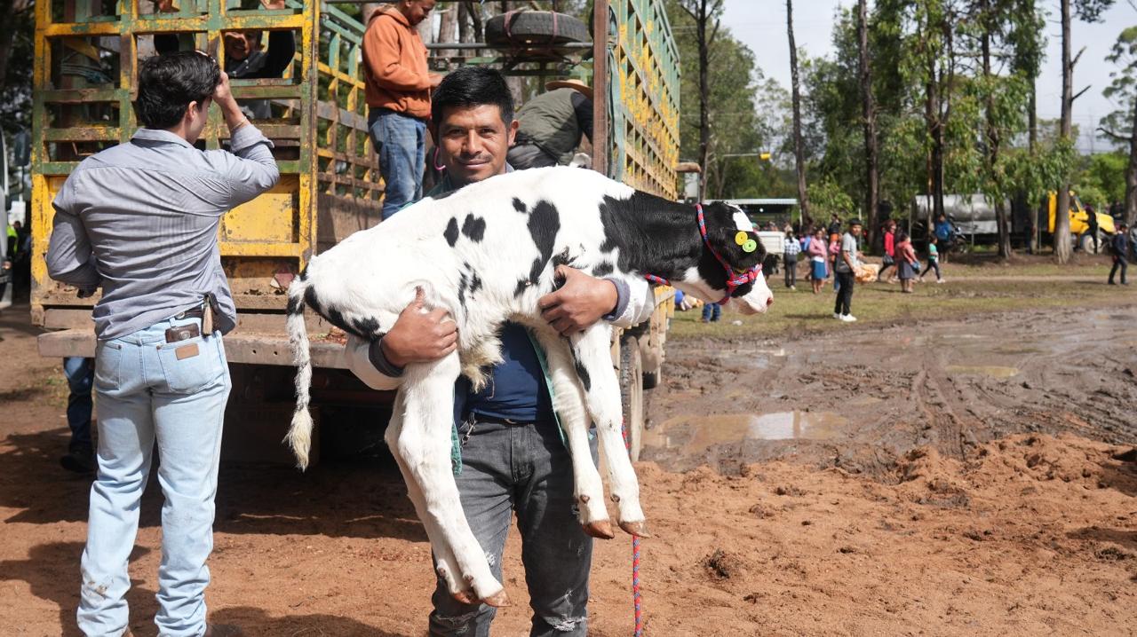 Gobierno impulsa la transformación histórica del sector ganadero