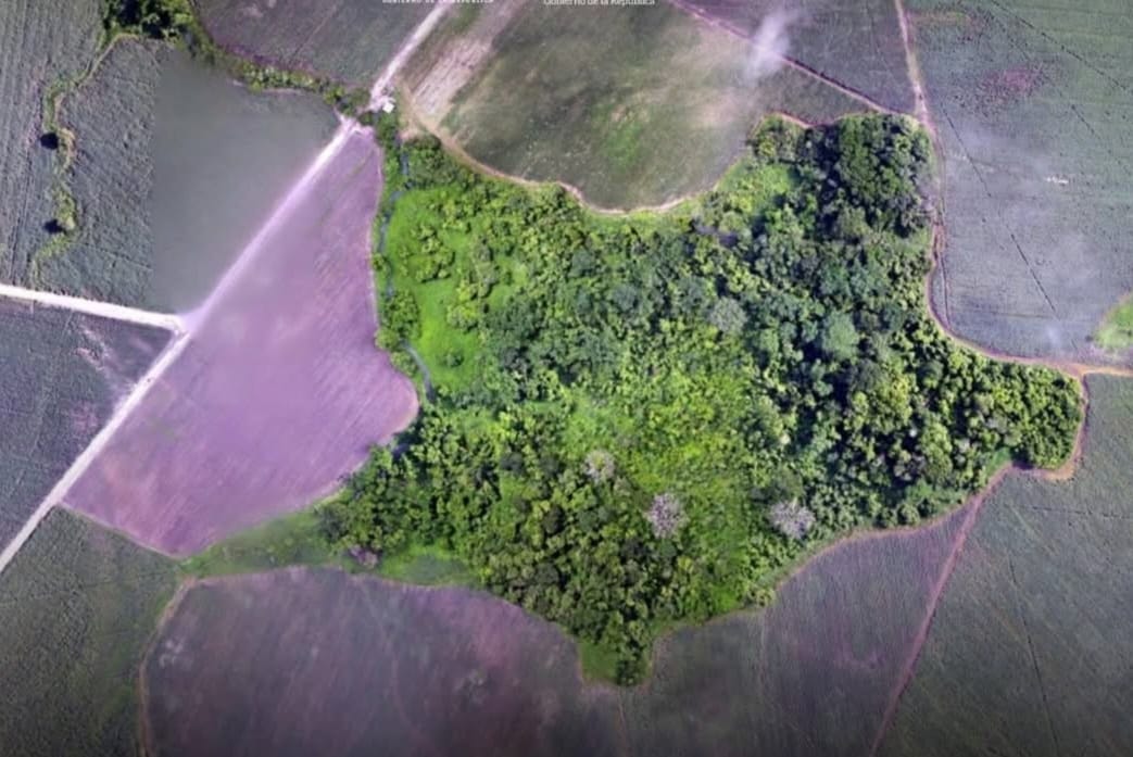 ICF certifica Reserva Natural Privada en Santa Bárbara

 ...