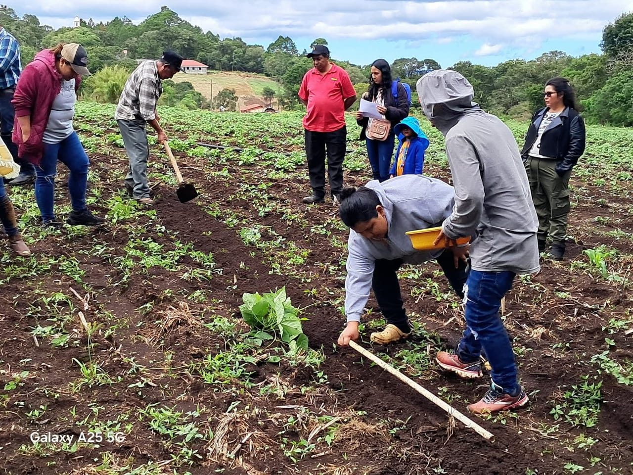 Grupo APROFIL de Intibucá avanza en implementación de prácticas agrícolas