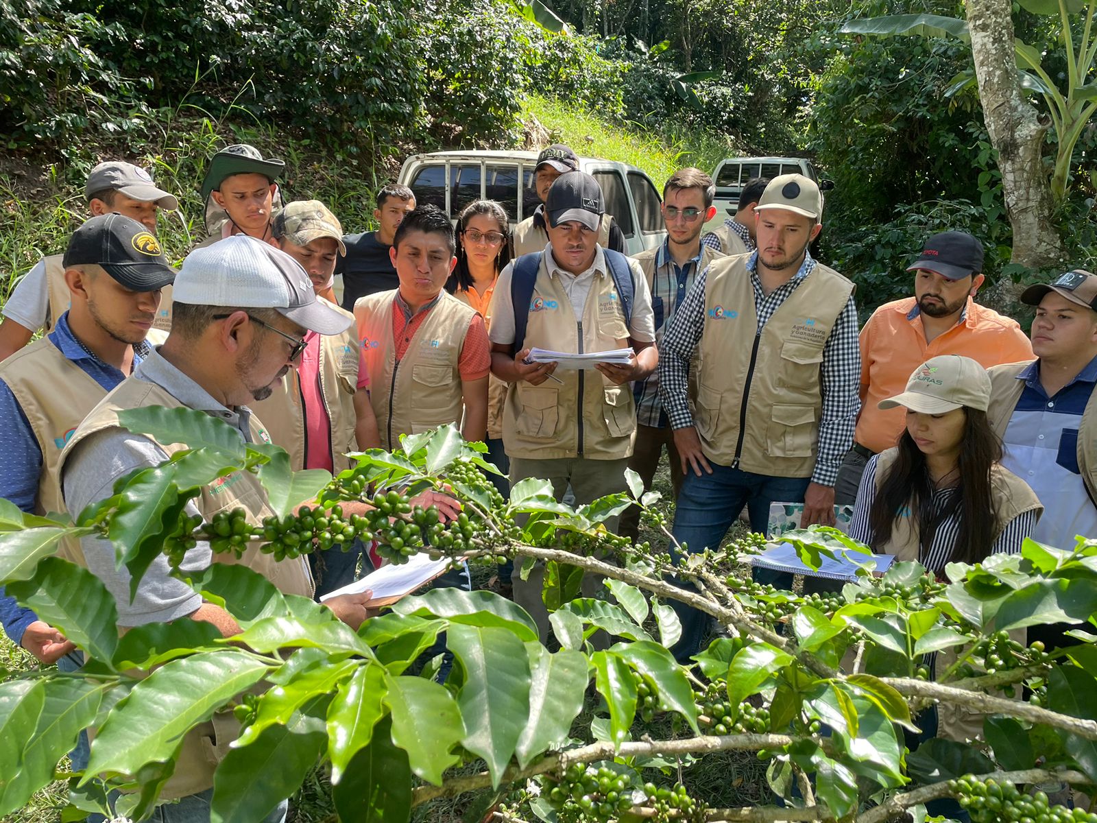 Poder Popular Más De 100 Mil Productores Recibirán El Bono Cafetalero 2317