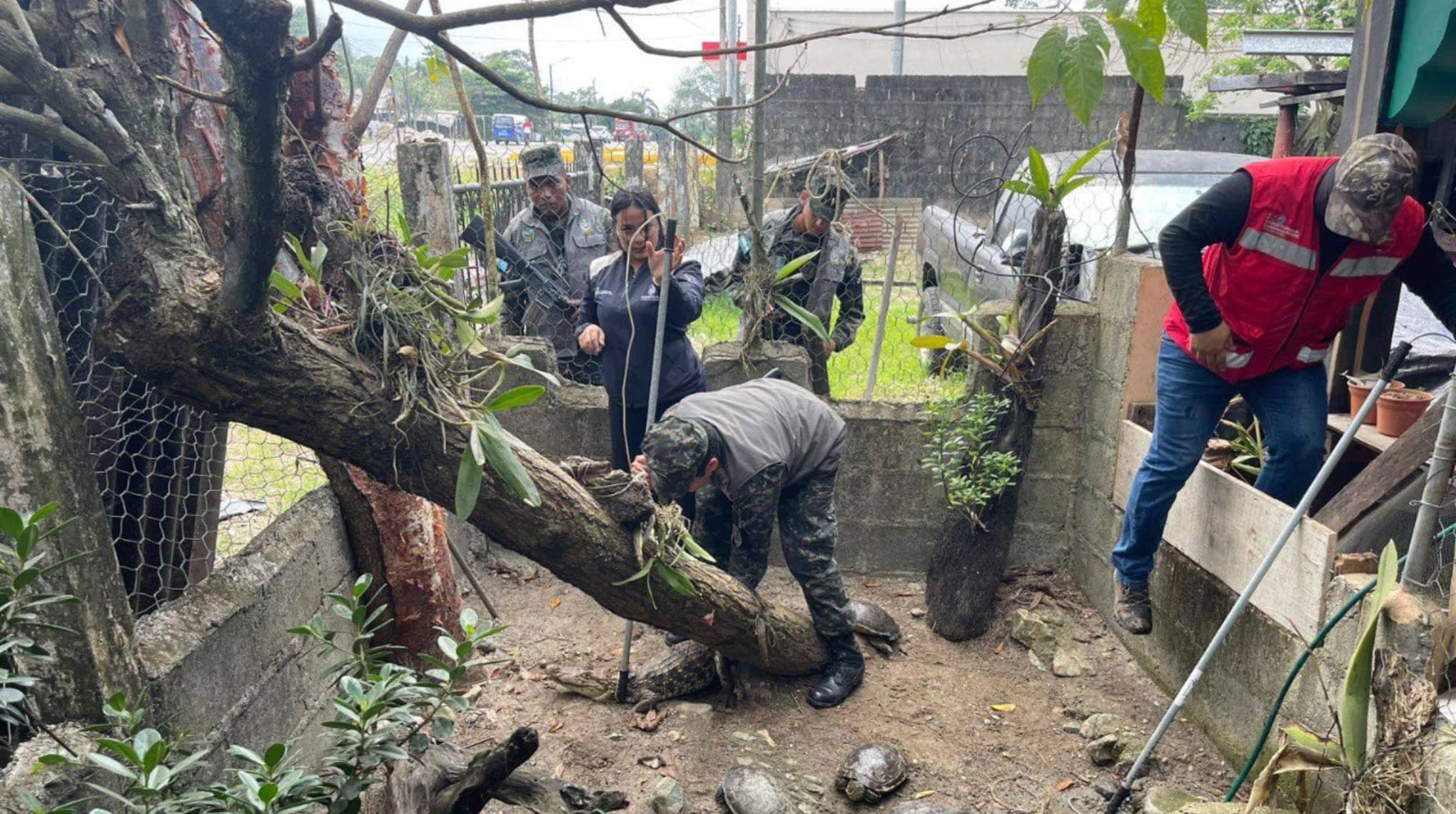 Fuerza de Tarea contra el Delito Ambiental decomisó 57 animales en cautiverio