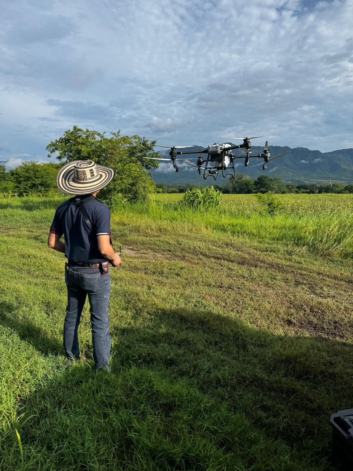 SENASA crea tecnología de punta para contrarrestar la langosta voladora
